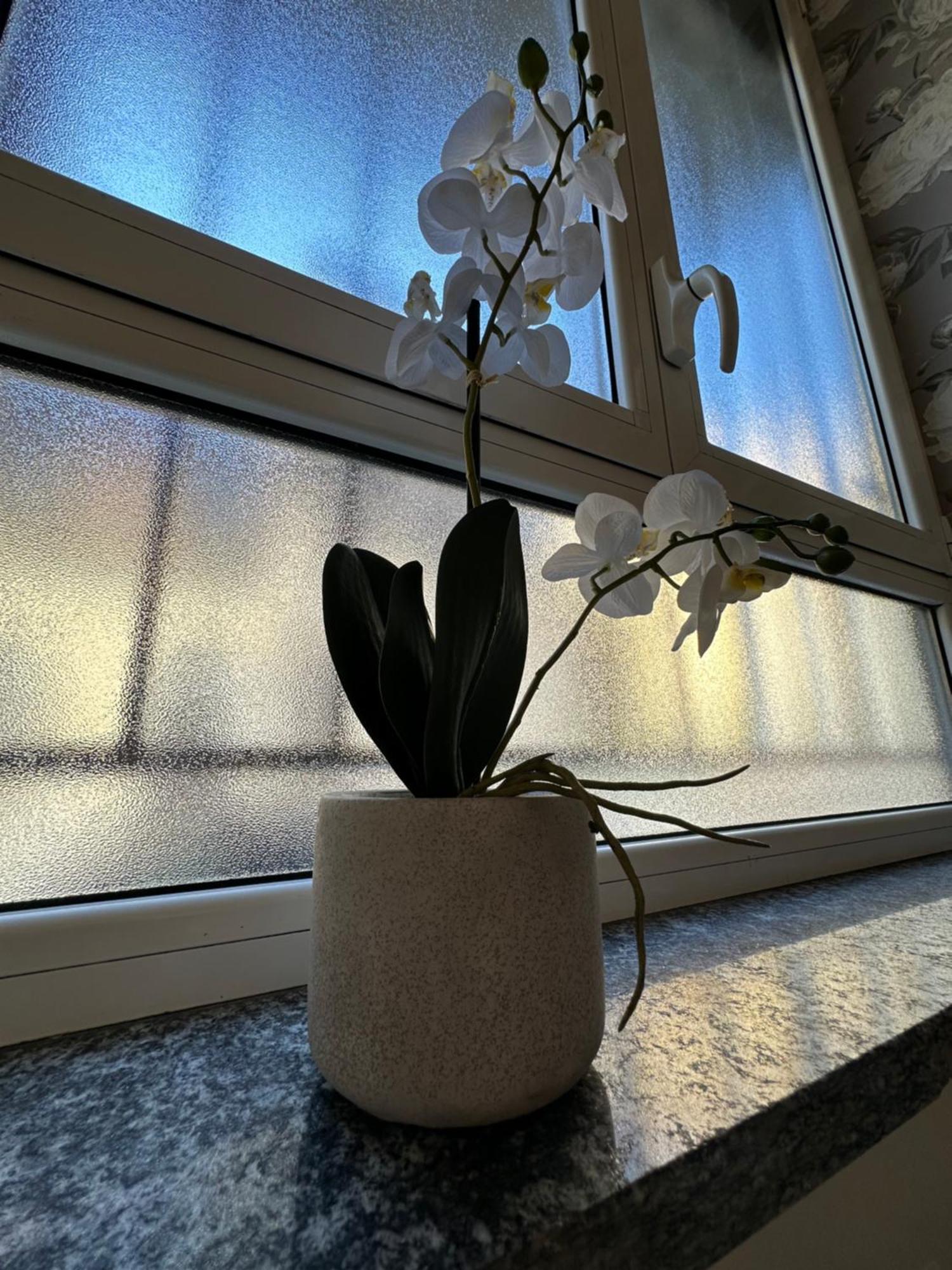 Flowers, A Cozy Suite In Milan Milão Exterior foto